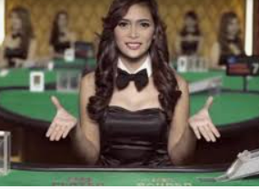 壹号下载app链接2024最新版